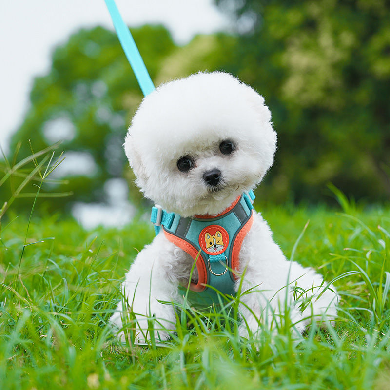 狗狗胸背带牵引绳小型犬幼犬遛狗绳舒适防挣脱宠物用品