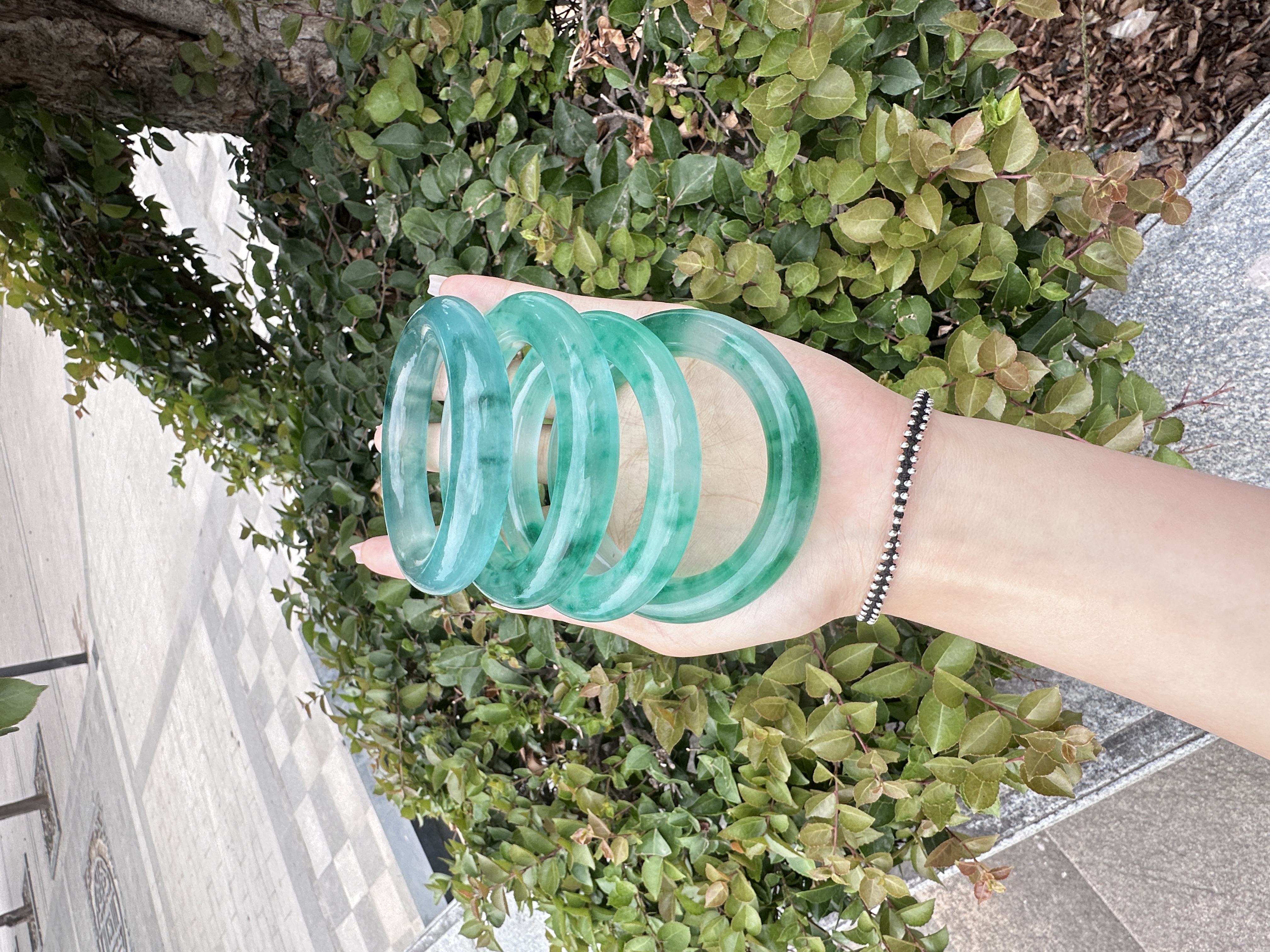 胖圆手镯 小珂专属【高货冰冰翠】时尚显白