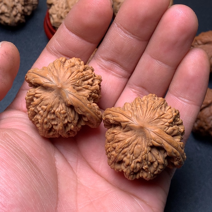 文玩核桃把件39球虎1195