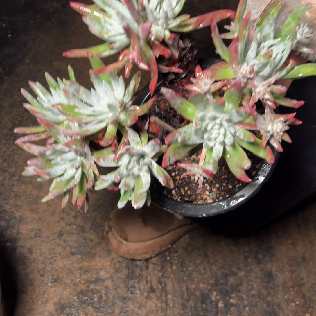 662哈哈哈哈哈哈哈哈