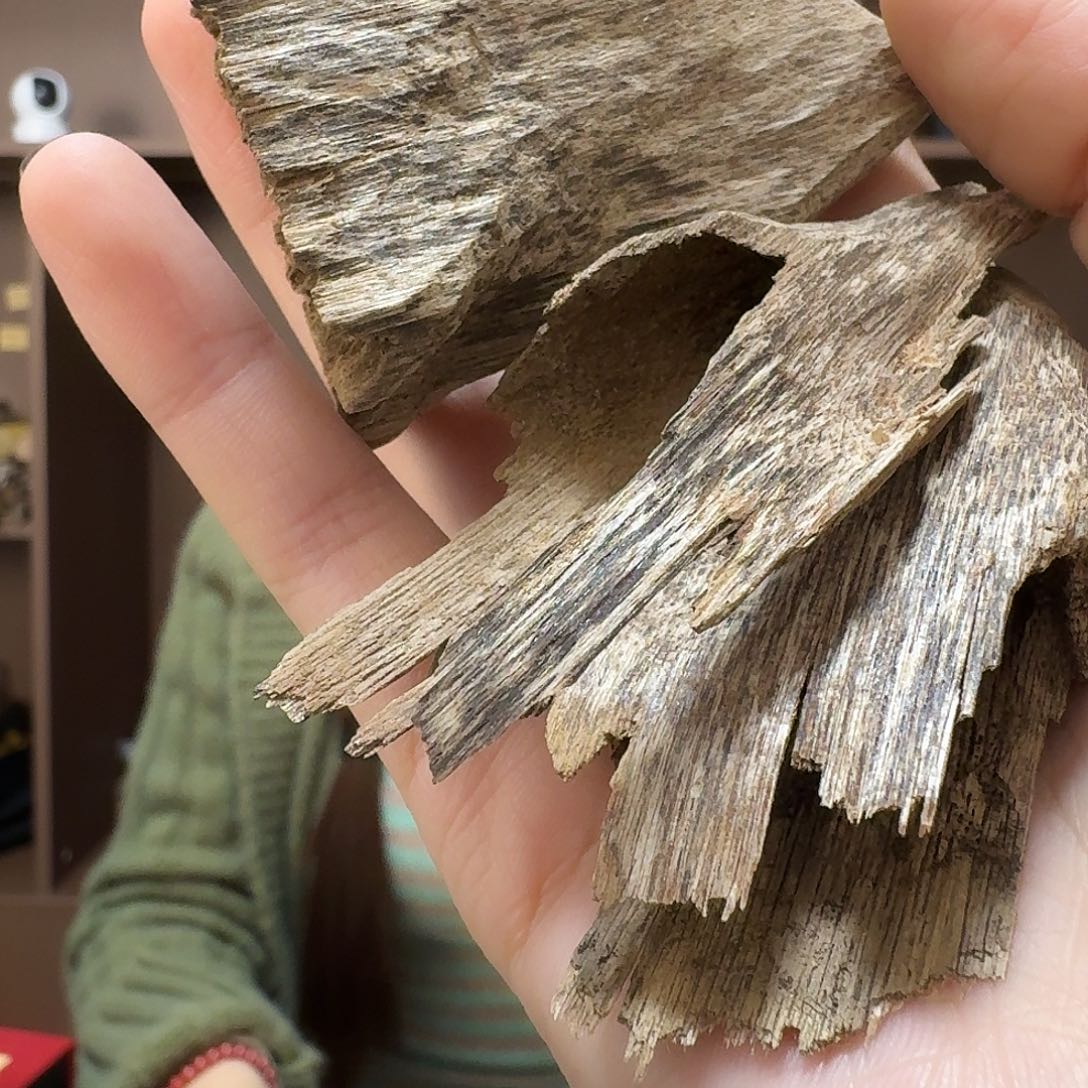 沉香沉香碎屑8号柬埔寨壳子块料12克