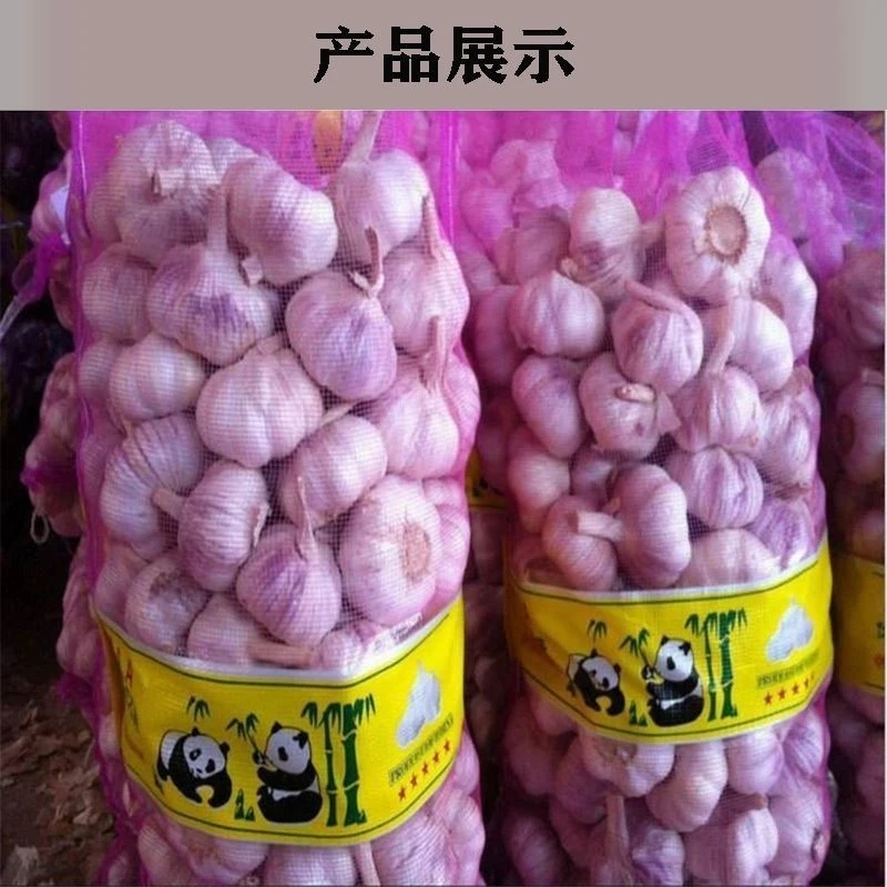 【新店半价】正宗紫白皮干大蒜河南紫白皮大蒜干蒜紫白皮蒜包邮批发