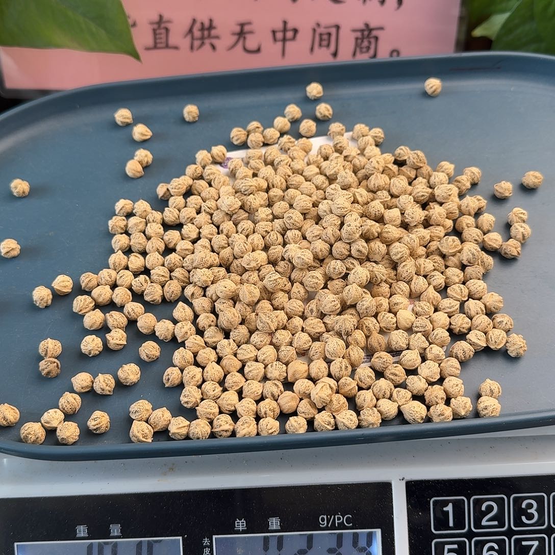 高***士柏香籽/百香籽吊坠8+100克HT046