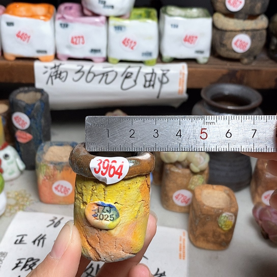 红陶拍5送一个小