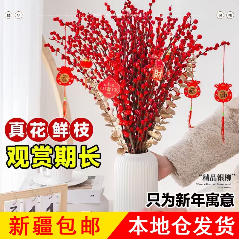 新疆包邮银柳真花鲜枝过春节新年红色年宵花束装饰客厅鲜花卉银柳