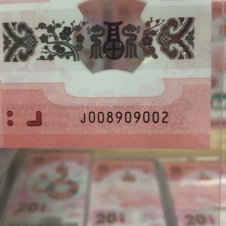 塑料小蛇钞号码008909002