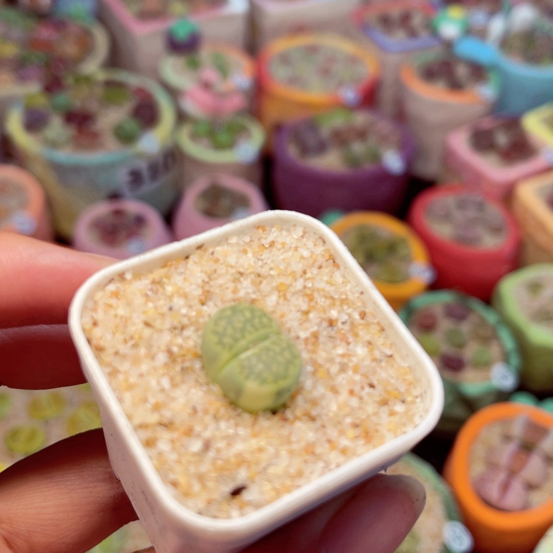 105。8888888888888888888888