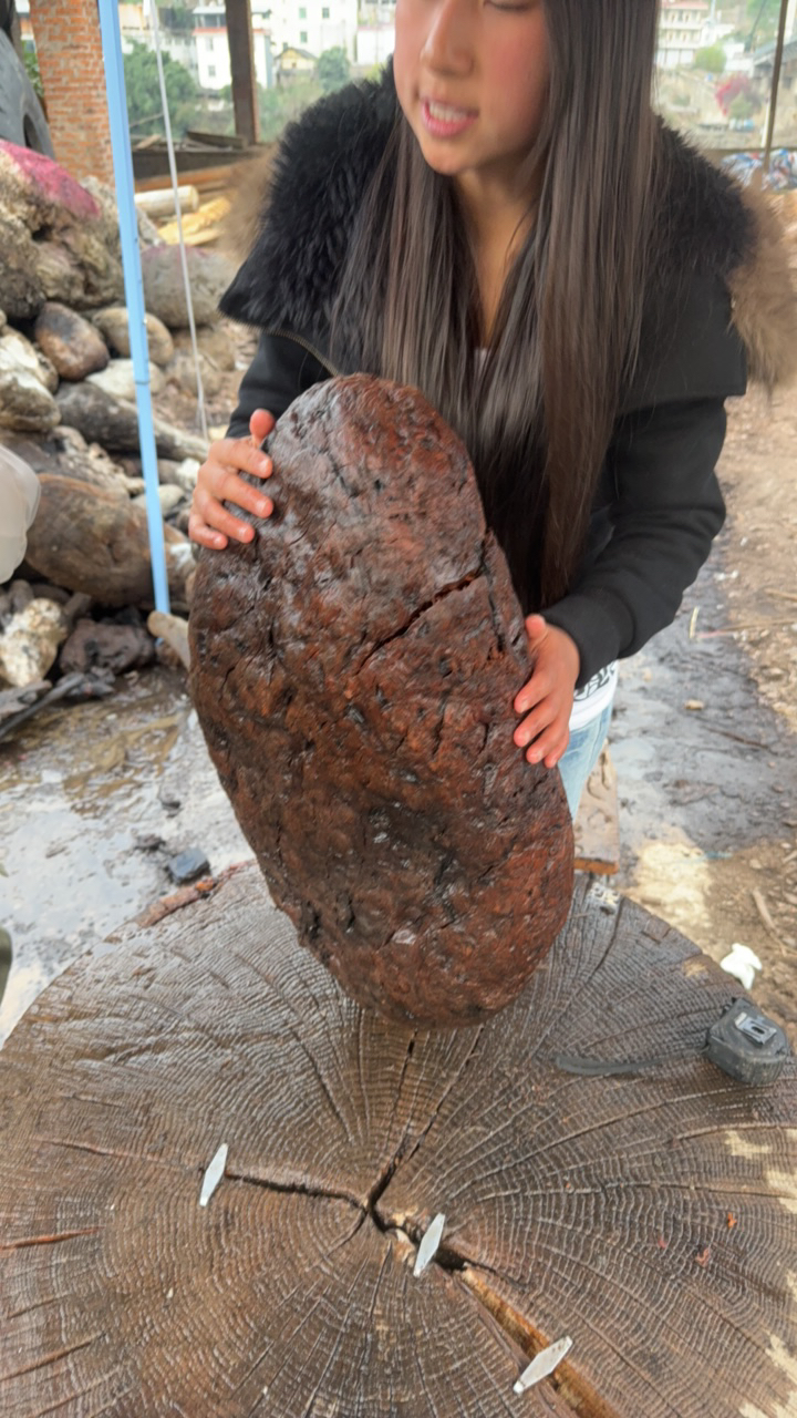 民间使用风化木漂流木