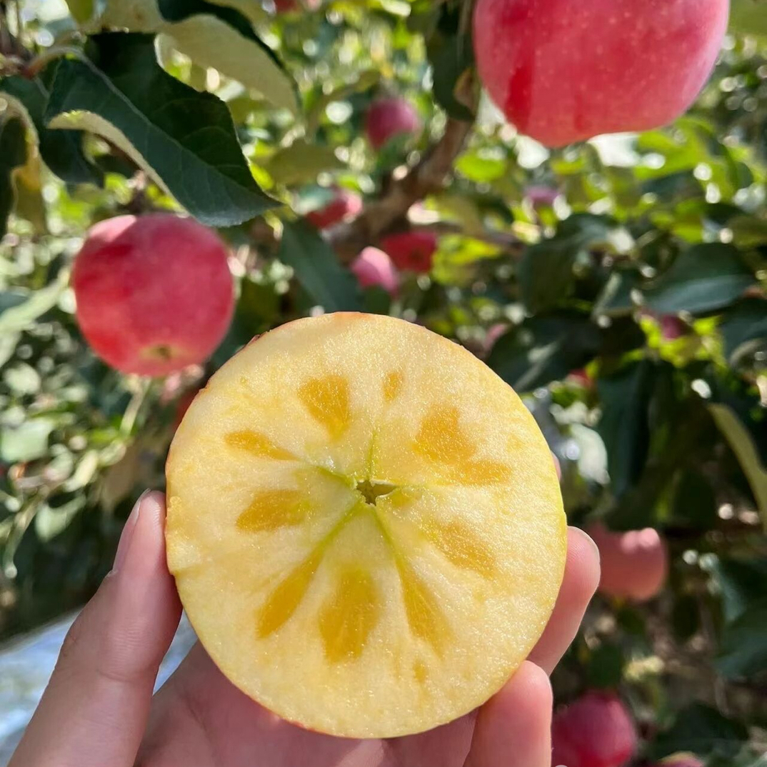 小渝妈妈家冰糖心红富士苹果现摘现发脆甜多汁