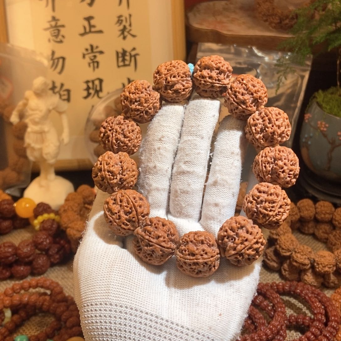 金刚菩提手串245原籽