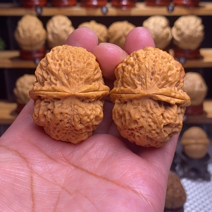 木质类云铁七星绣球22号