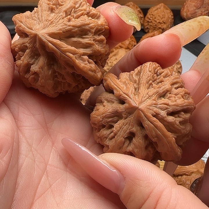 白***王核桃原装粗筋狮子头