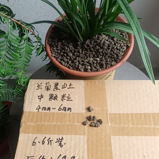 鸿***鲜兰菌颗粒中颗粒6.6斤