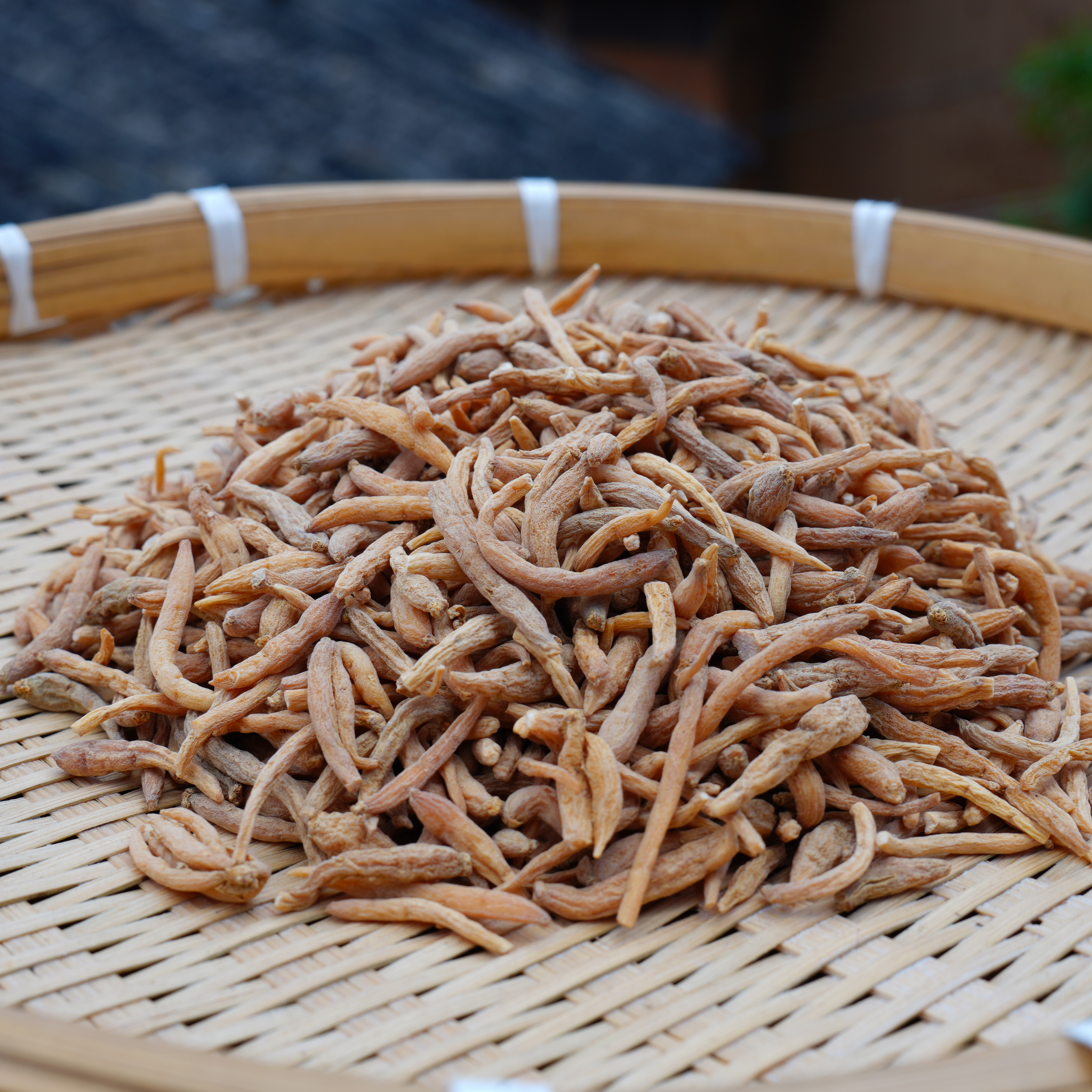 【大表姐云南山货现收】云南山野高原 天然太子参 无硫熏自然晾晒