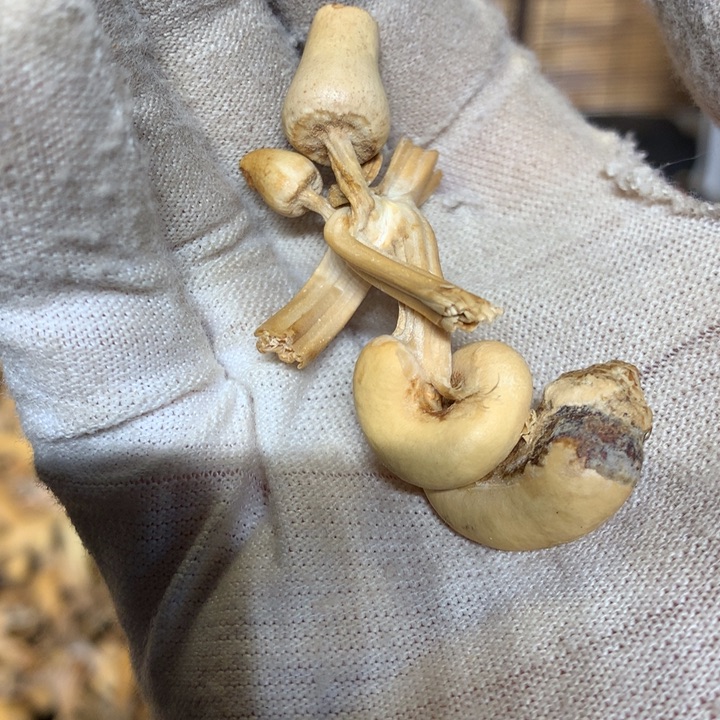 你要吃好了我等的啊