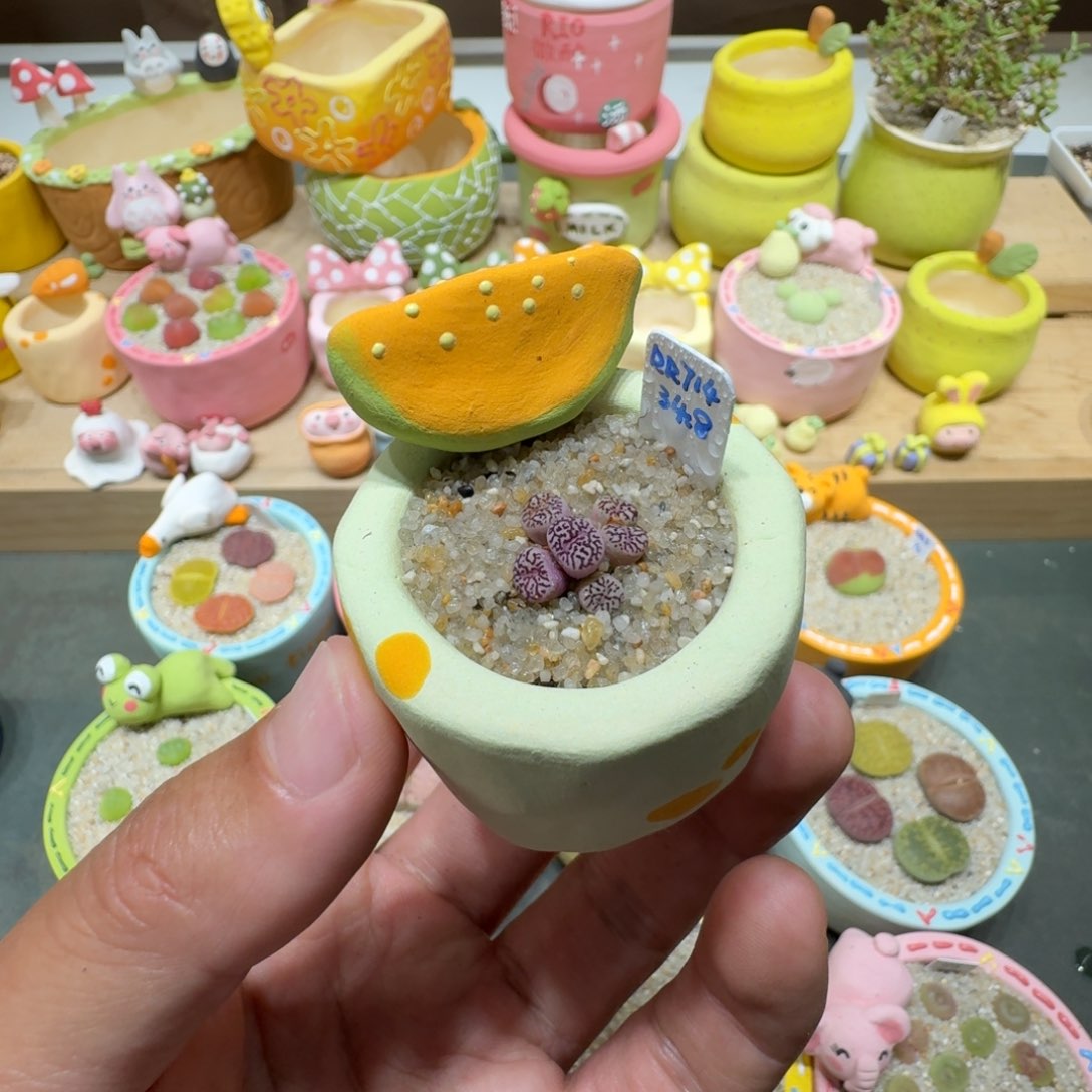 蘑菇253墨墨墨墨