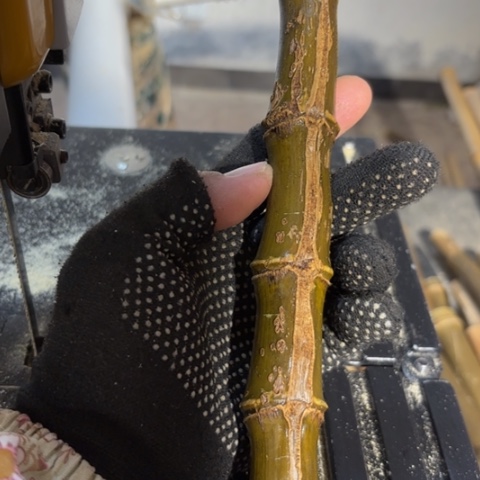 半***雨实心竹竹竹竹竹竹竹竹竹竹