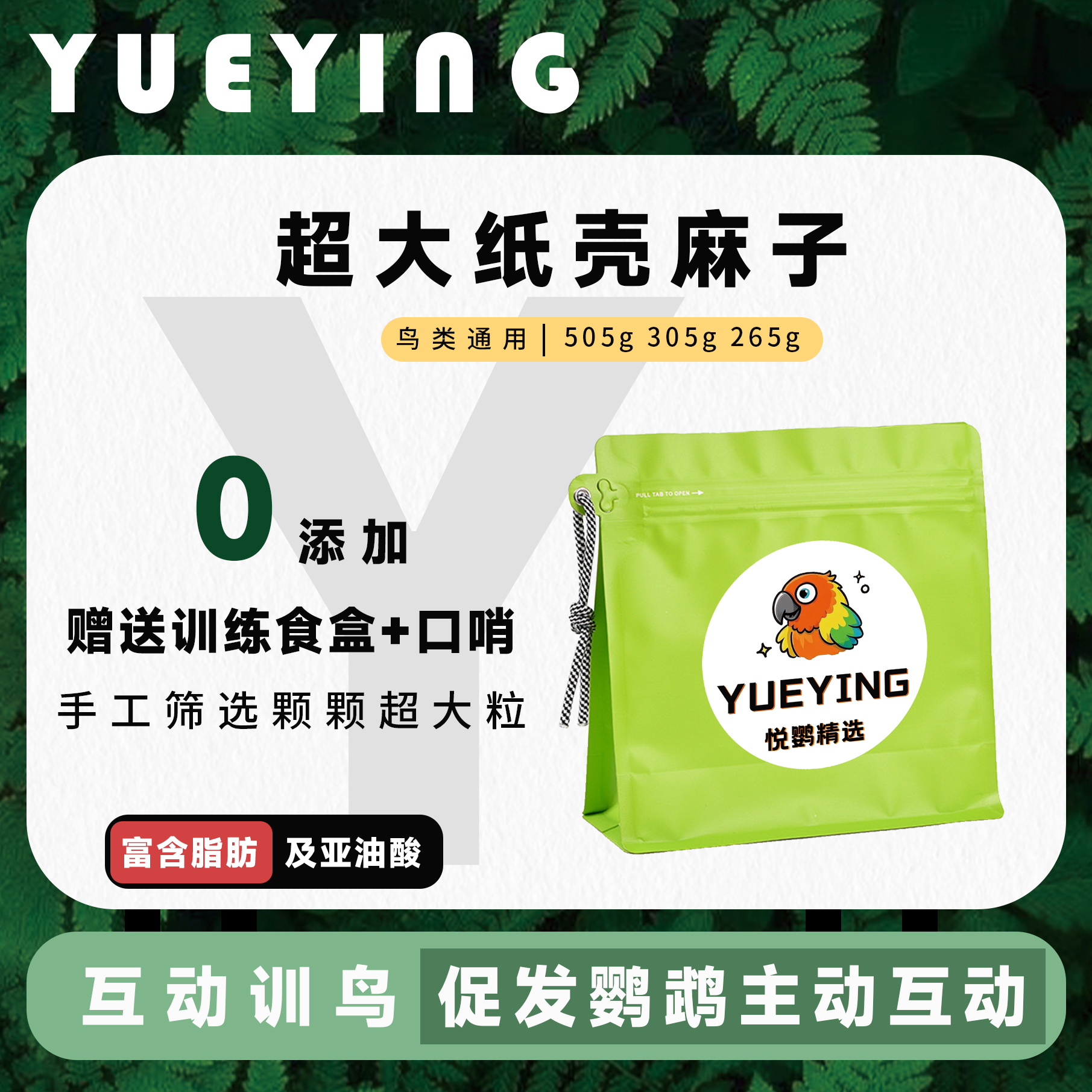 【特大颗粒】悦鹦甘肃新货纸壳麻子牡丹和尚太阳灰机奖励增肥零食