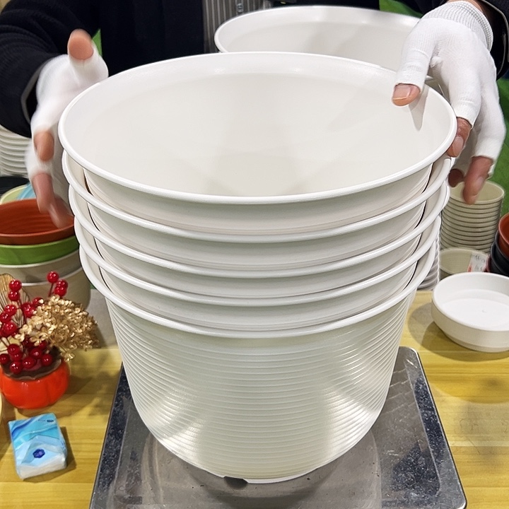 正品矮陶口30高21白色无托5个