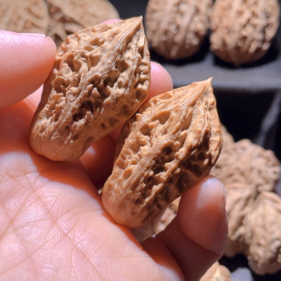【闪购商品】文玩核桃把件东北楸子4