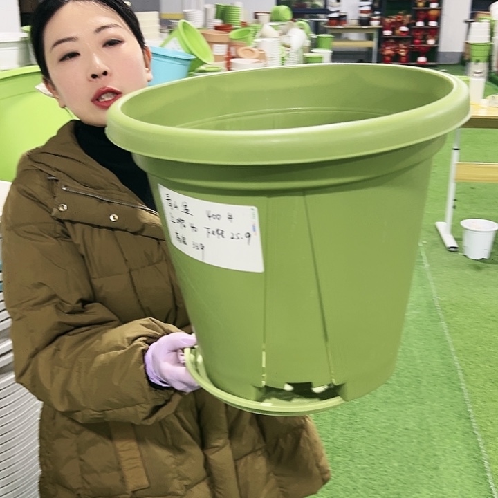 清仓青山口40高34果绿5只带托
