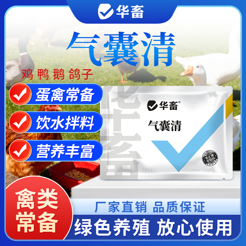 气囊清鸡鸭鹅鸽子鹌鹑芦丁鸡张嘴呼吸呼噜饲料添加剂S