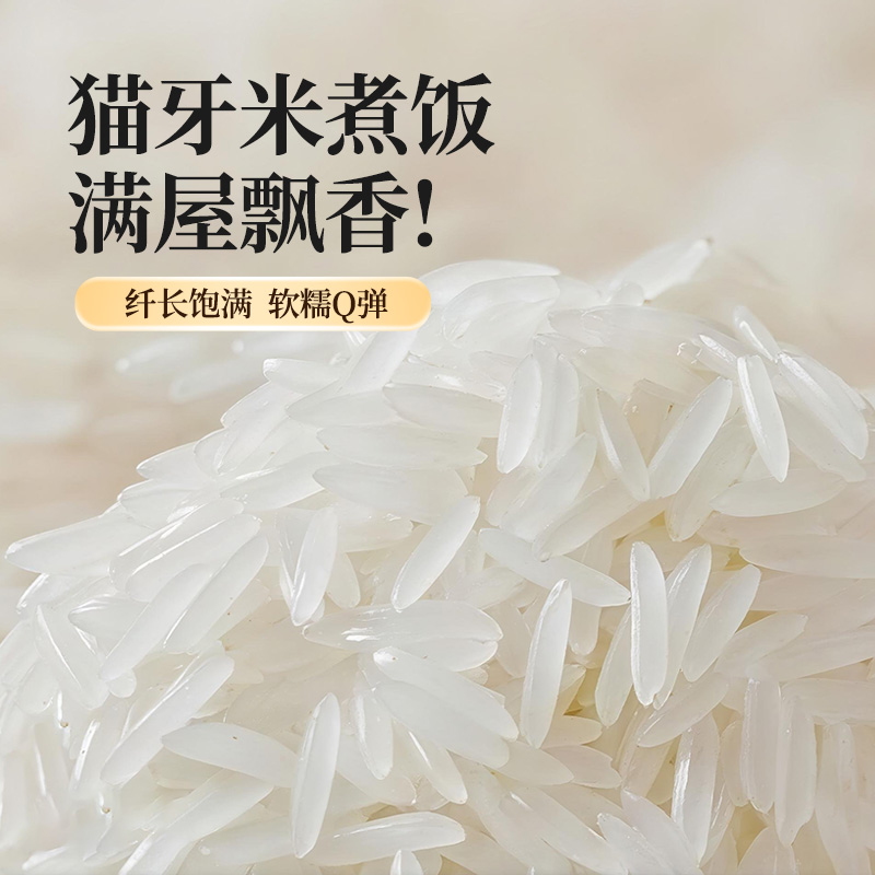长粒香米猫牙米营养丰富清香软糯适合煮饭煲仔饭