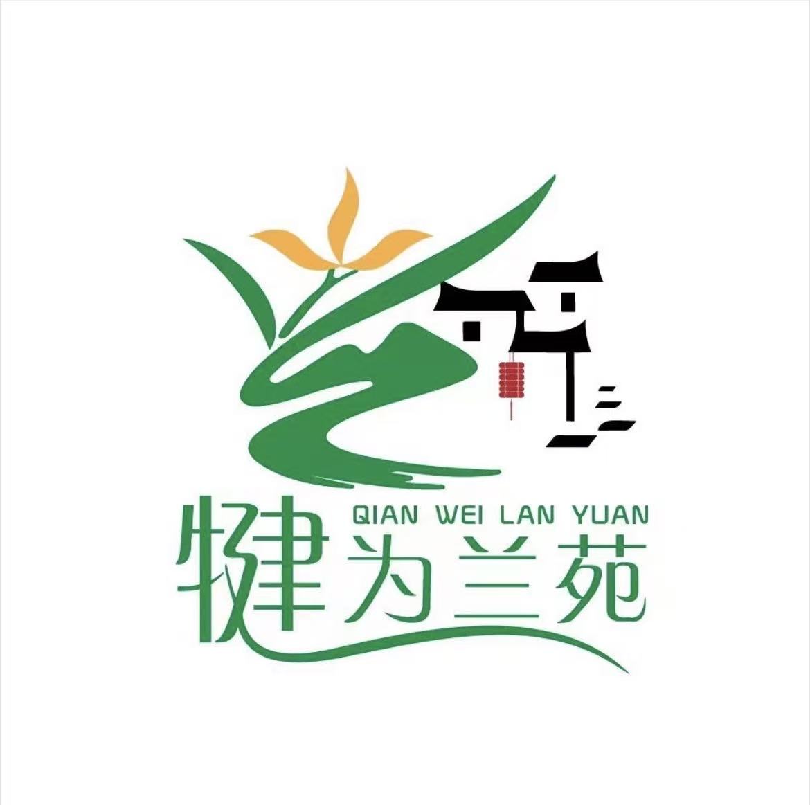 精品兰花一物一拍（基地种植，裸根不含土）