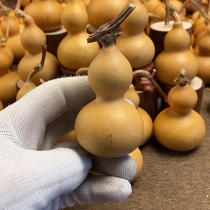 文玩葫芦 完美主义者 慎拍39