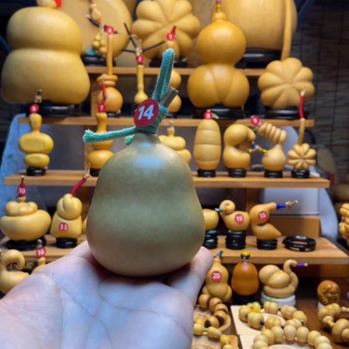 呀***呀天然葫芦自然生长