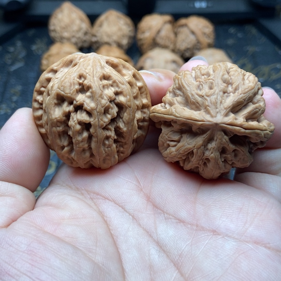 木质类全品无修大粗筋