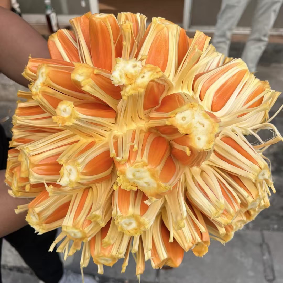 3号【小艺】印尼红肉菠萝蜜8-20斤【验生熟开果】5%水损【签收24小时内坏果包赔】红肉菠萝蜜广西壮族自治区