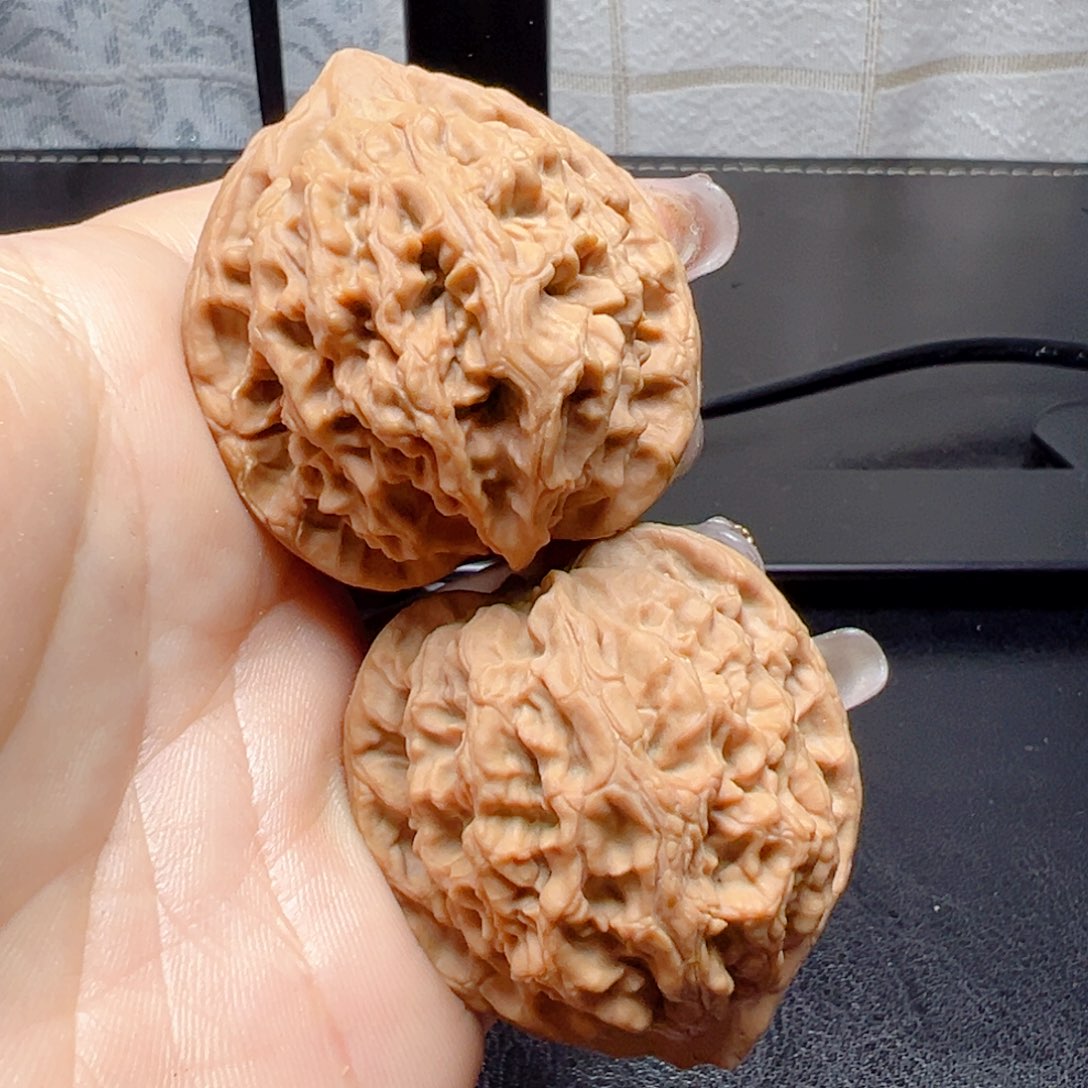 文玩核桃把件野虎37