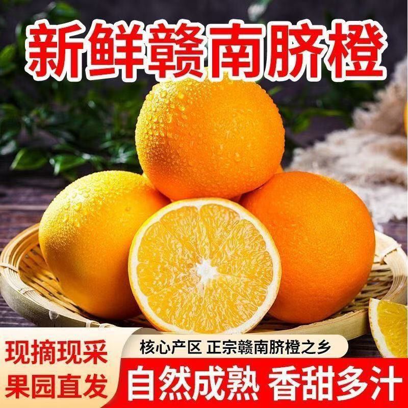 【现摘现发】正宗脐橙皮薄肉厚多汁果园直发新鲜当季橙子多仓发货N