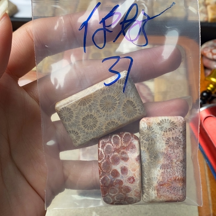 硅化玉颈饰未镶嵌你**生