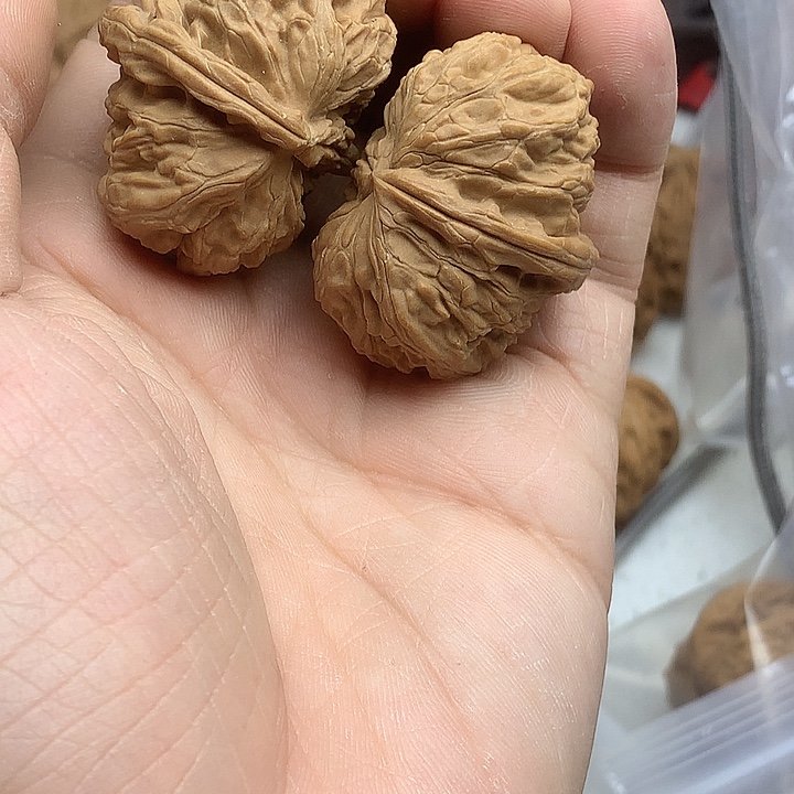 何***必文玩核桃吊坠白狮子半壁