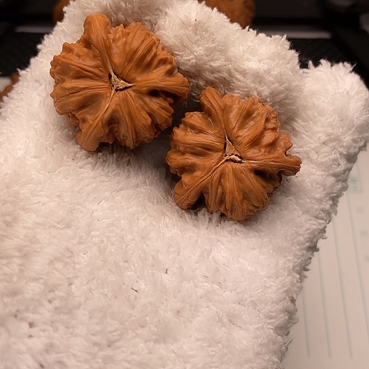 小***哥核桃手串/手链白狮子1