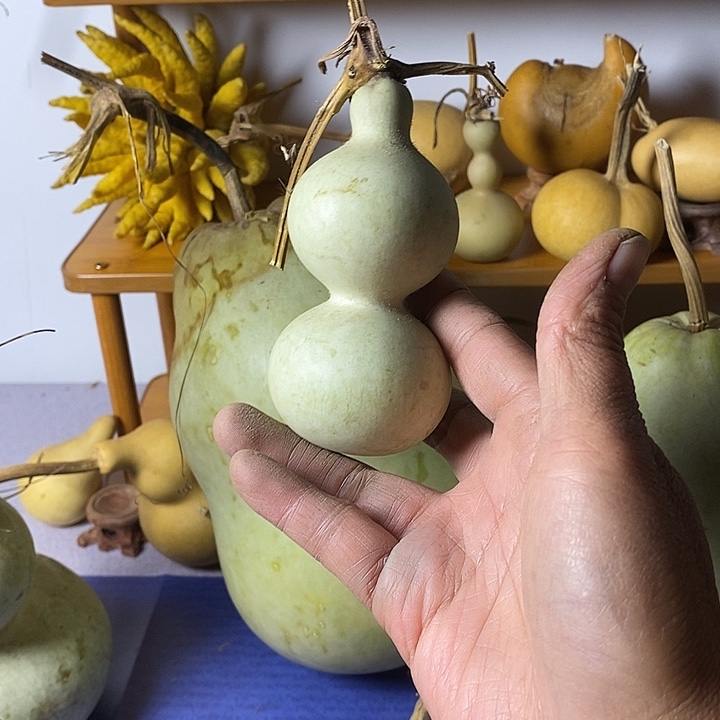 画***圈青皮葫芦手把件摆件