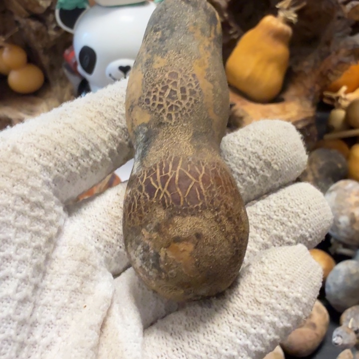 苏***六66677777777888888