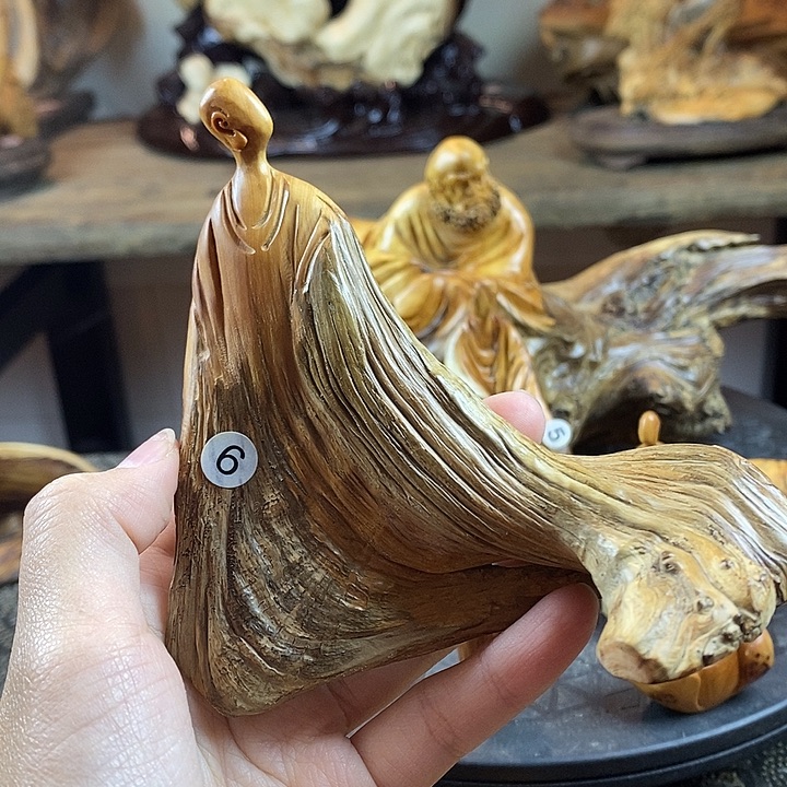 山***处柏木（崖柏）崖柏无相