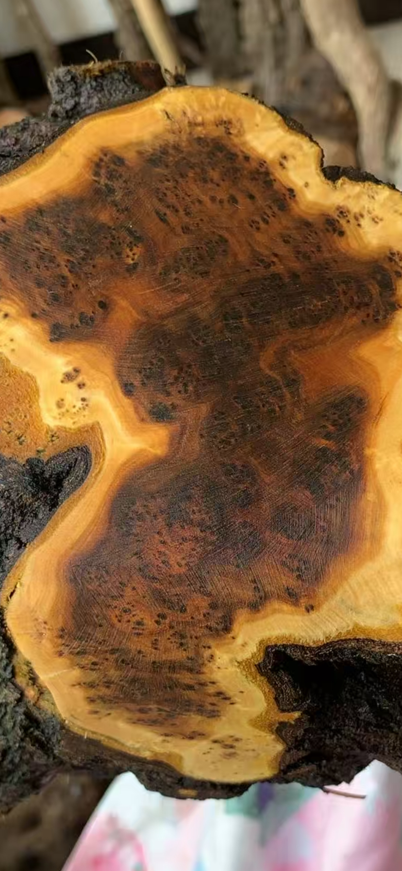 户外登山杖 手杖