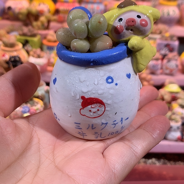 韩国正版鸡蛋奶带盆 满100包邮