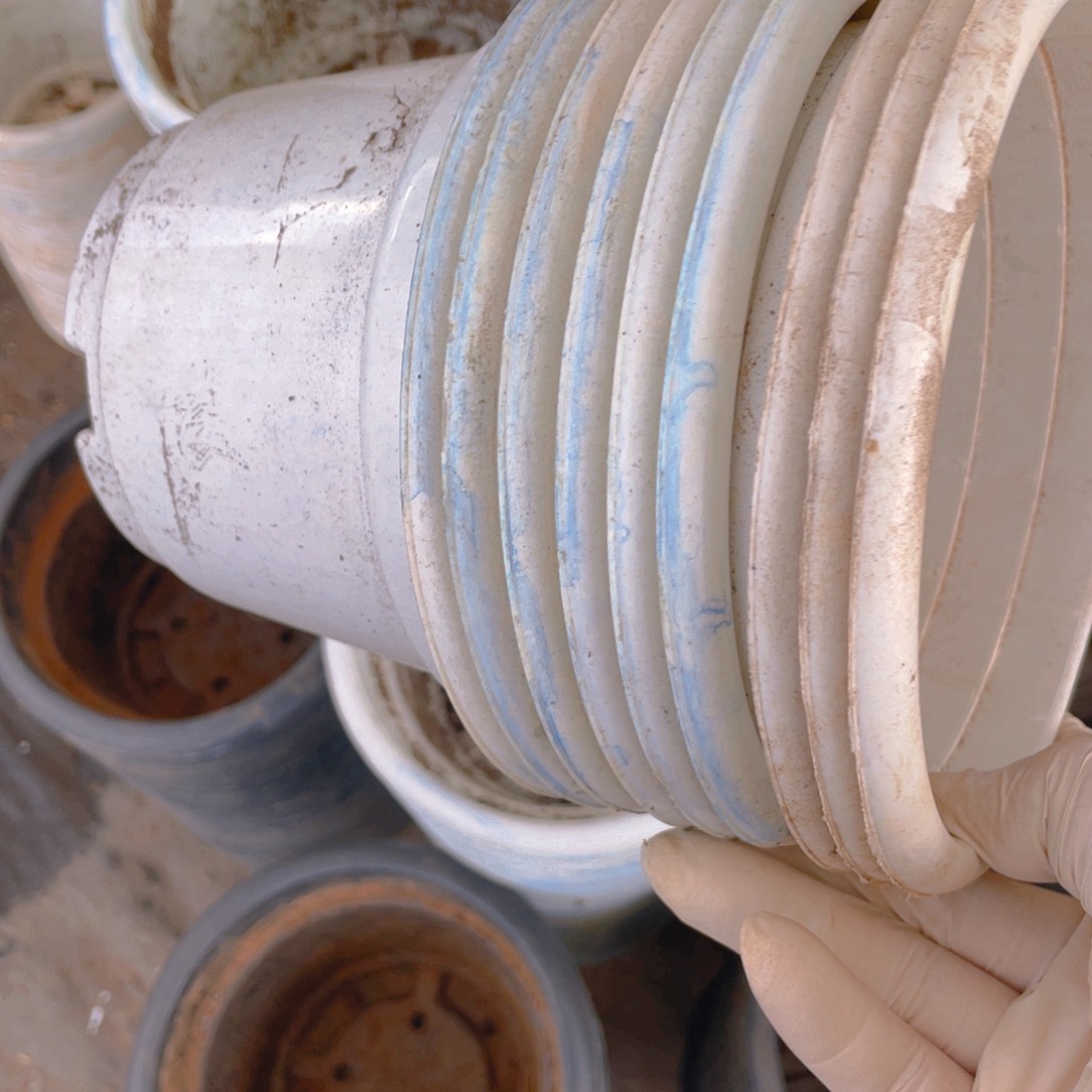 塑料旧15公分白园盆 30个