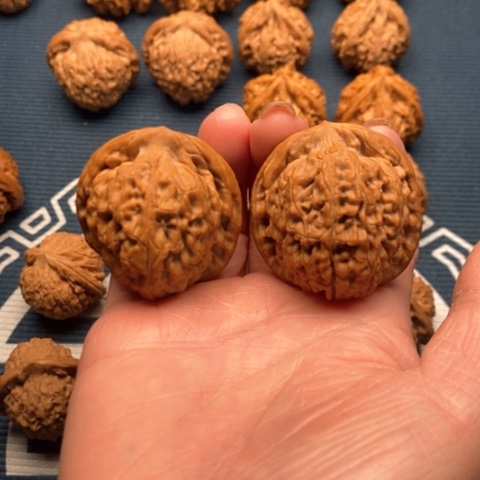 橄榄核手串/手链莲花40