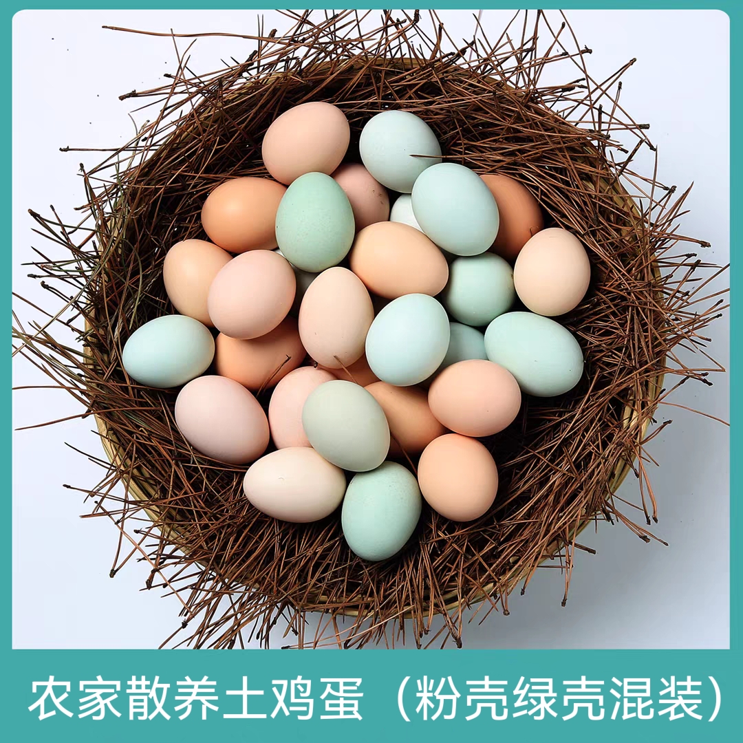 50枚粉壳绿壳混装土鸡蛋正宗农家散养无抗土鸡蛋宝辅食鲜鸡蛋