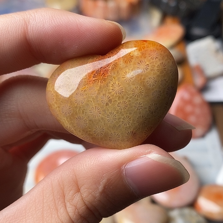 小***爱硅化珊瑚未镶嵌颈饰