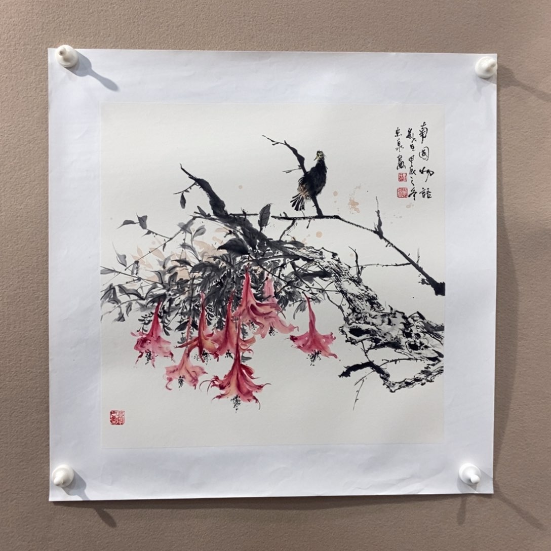【闪购商品】国画用****9墨鱼精品墨鱼精品