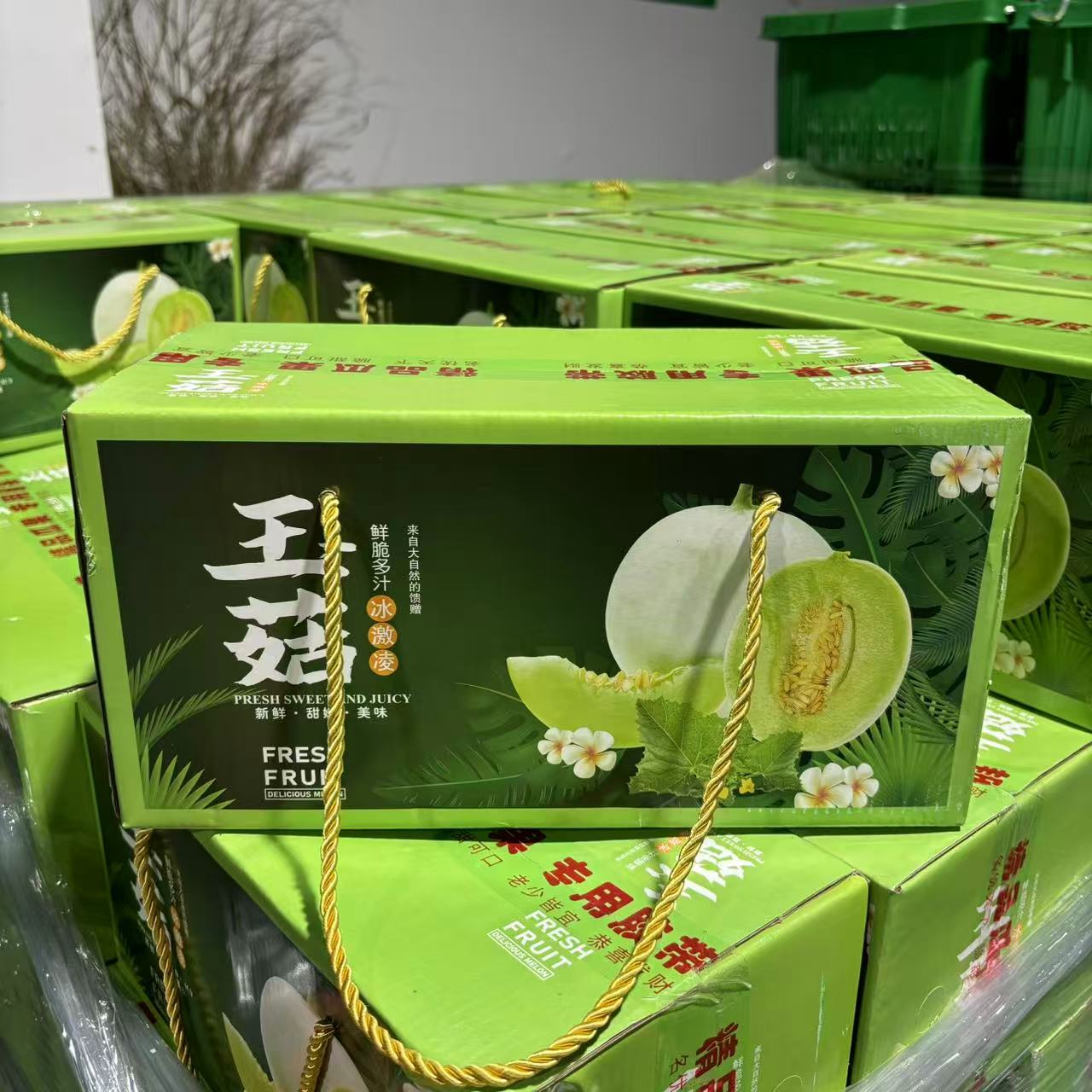 2颗【礼盒装玉菇甜瓜】放软再吃 冰激凌奶香蜜哈密瓜软糯香甜 净果5斤左右新鲜吉林省