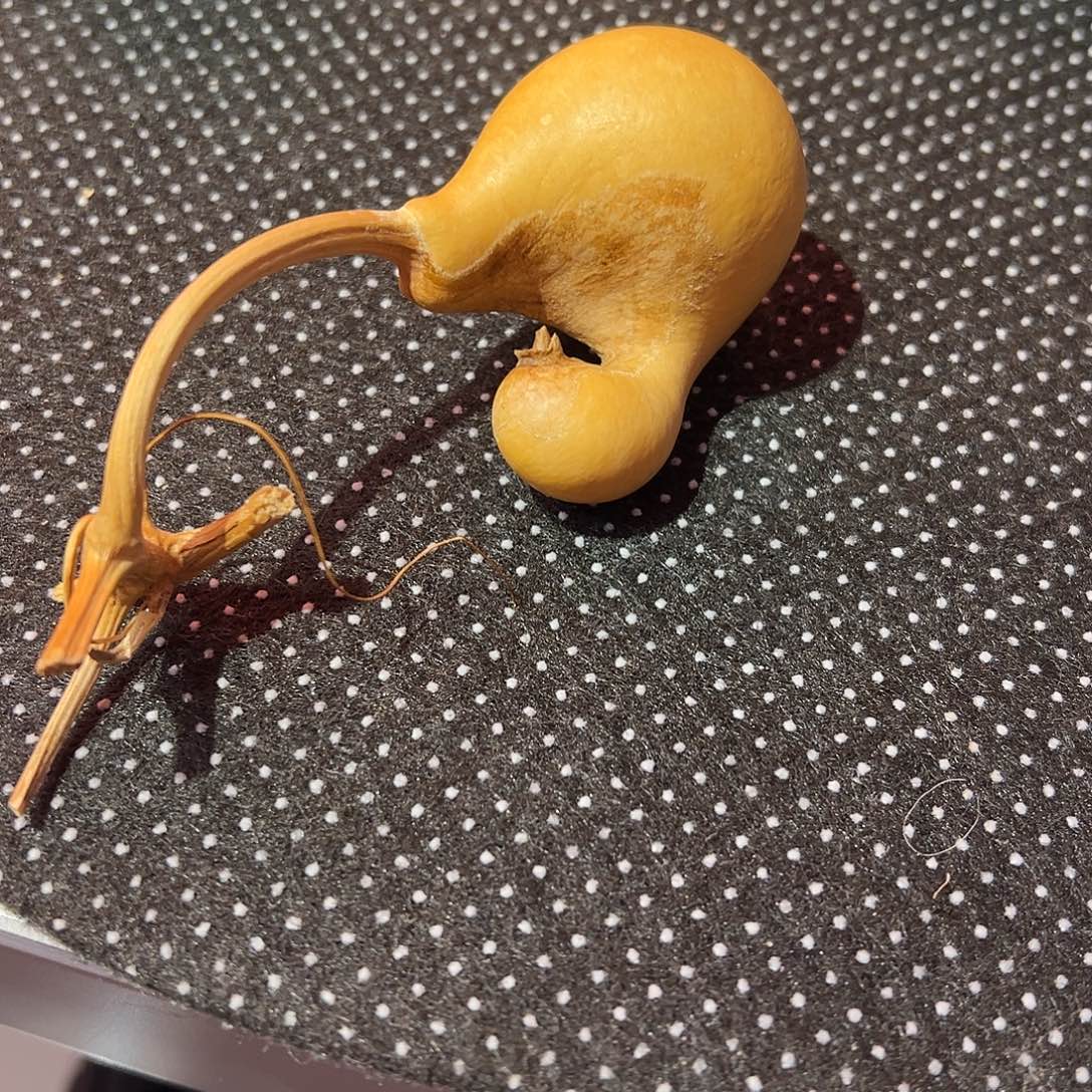 芝***忙哈哈哈哈哈哈哈哈哈哈哈哈