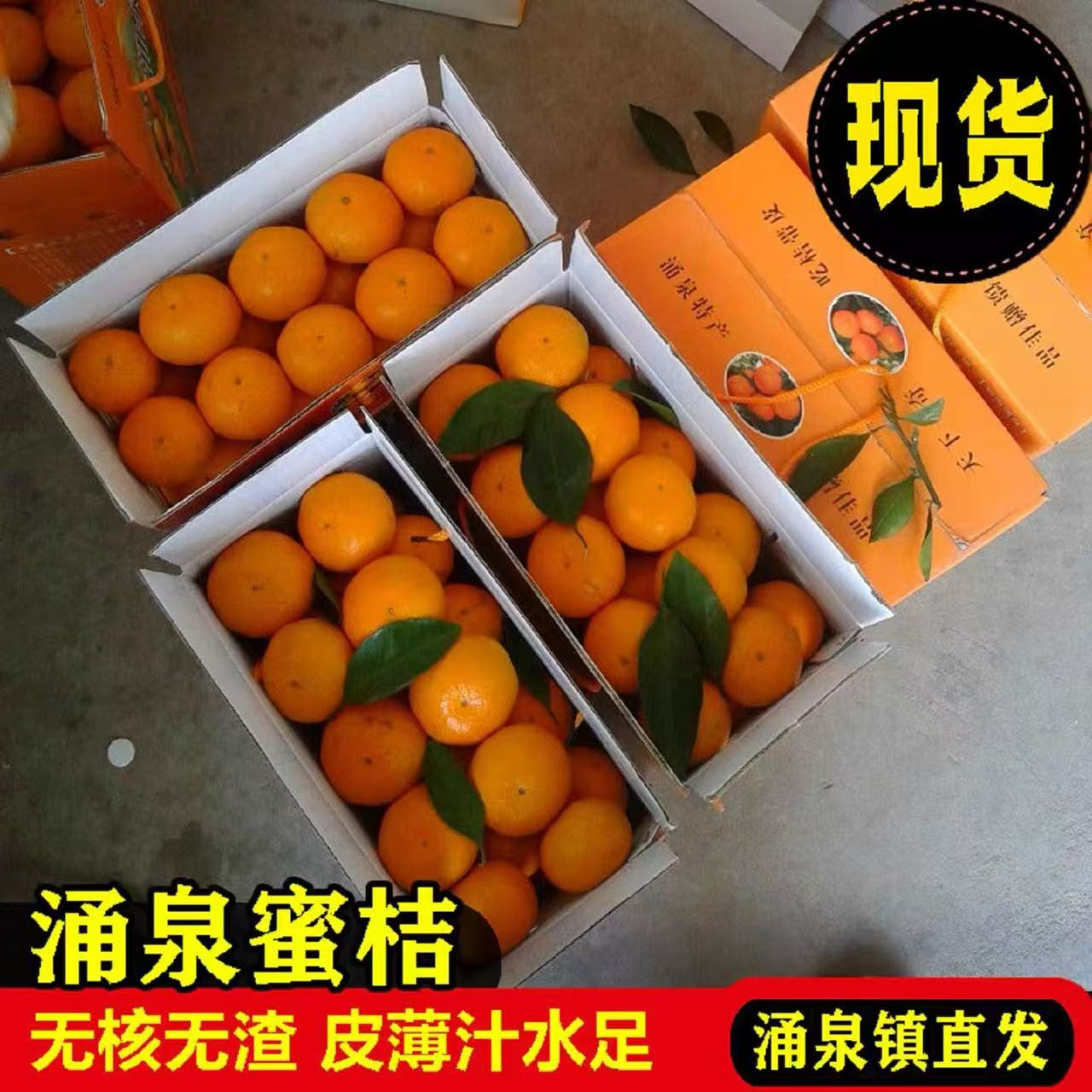 【正宗涌泉蜜桔】浙江临海涌泉蜜桔宫川早熟涌泉镇产地直发橘子桔子T6浙江省